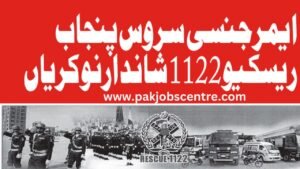 Emergency Service Punjab Rescue 1122 Jobs